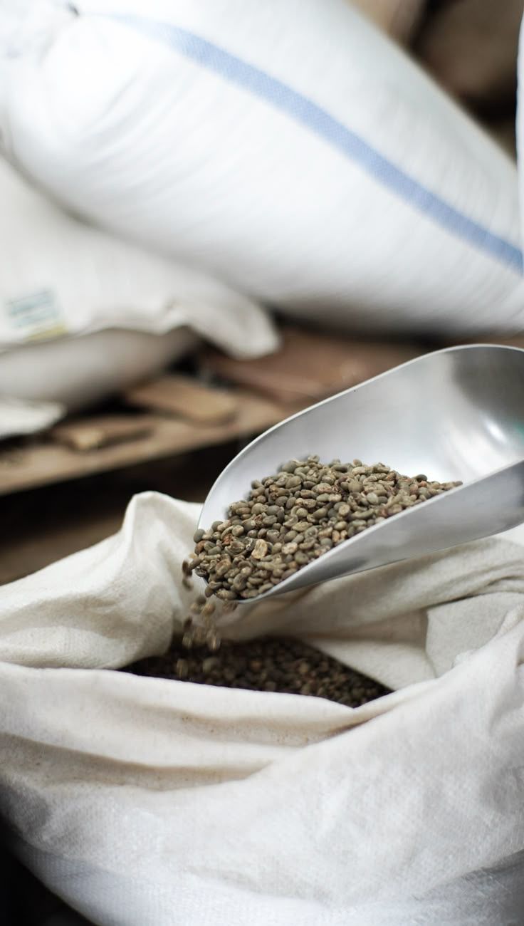 Universal Java Coffee | Premium Indonesian Coffee Exporter